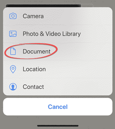 Send a full, original image by WhatsApp for iPhone