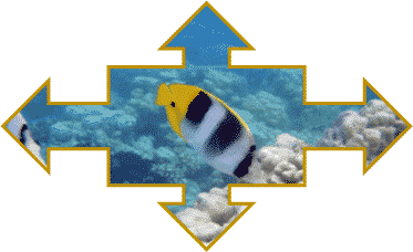 Difference between 'Pickup where you left off' and GoBack 'Shift + F5'.