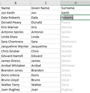 Flash Fill Magic in Excel