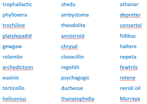How Microsoft Word was beaten by a 14 year-old