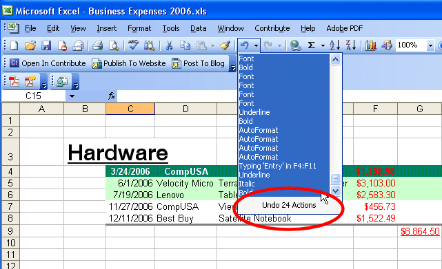 Beyond simple Undo in Microsoft Office